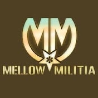 Mellow Militia 与冲浪者自闭症康复基金会合作